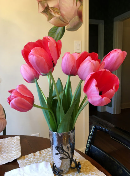 Tulipa 'Pink Impression' -  5 bulbs