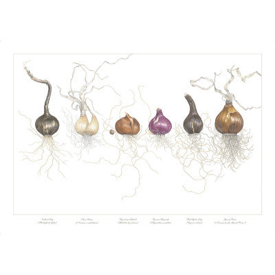 "Bulbs in a Line" is the signature piece of this collection.  It has been highly praised and sought after by garden lovers, home decorators, and those that see and recognize the excellence of the piece.