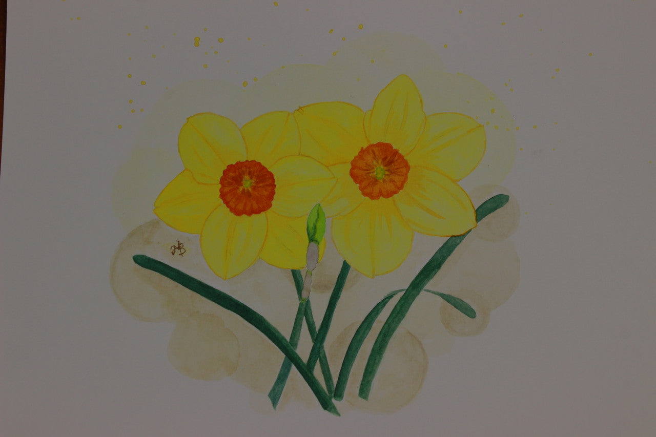 Daffodil 'Kedron' -  5 bulbs