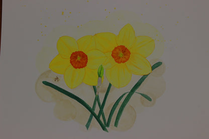 Daffodil 'Kedron' -  5 bulbs