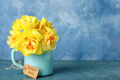Daffodil 'Tahiti' - 5 bulbs