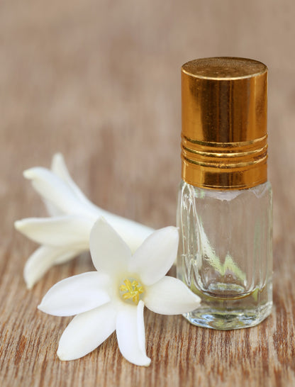 Single Tuberose (Polianthes) 5 tubers