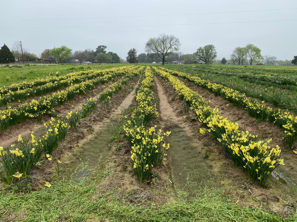 Farm Tour- March 18, 2027
