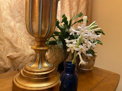 Single Tuberose (Polianthes) 5 tubers