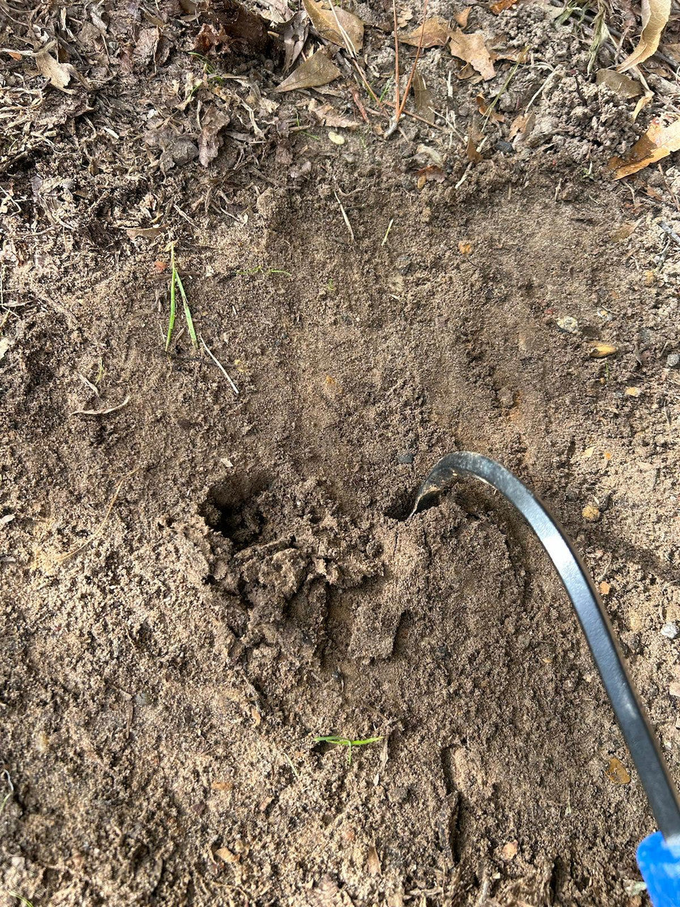 CobraHead Garden Tool (Mini)