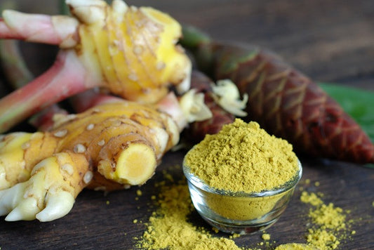Zingiber officinale (Common Ginger) - 3 bulbs