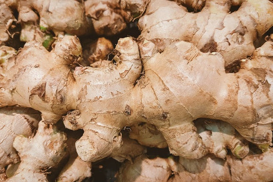 Zingiber officinale (Common Ginger) - 3 bulbs