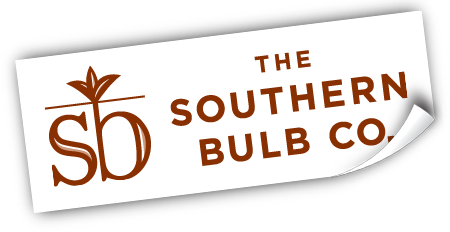The Southern Bulb Co.