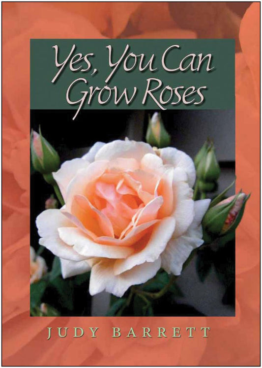 Yes, You can Grow Roses - Judy Barrett